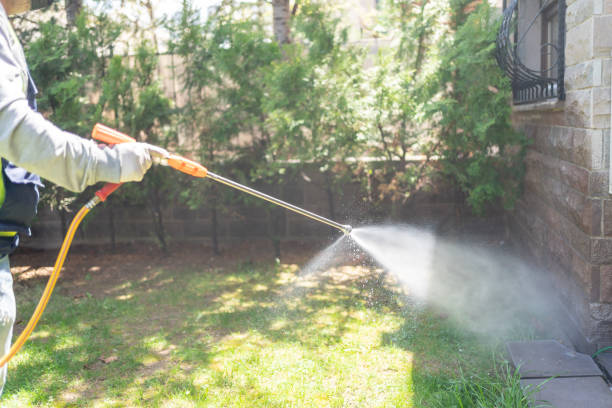 Best Mosquito Control Services  in Bellflower, CA